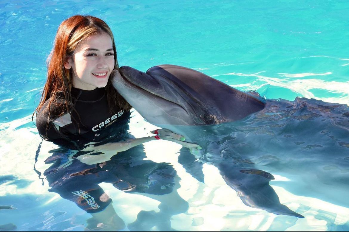 Dolphin Park