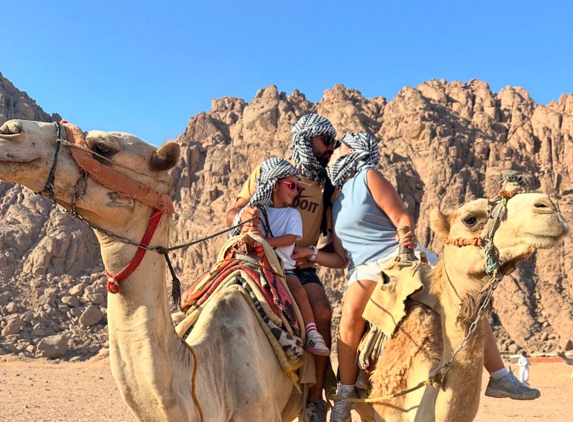Camel