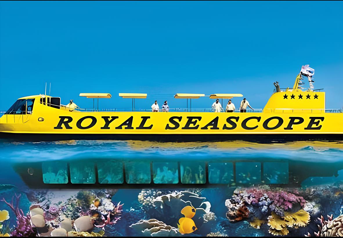 Submarine trip